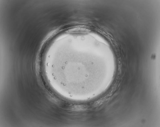 X0000116600149201001221305