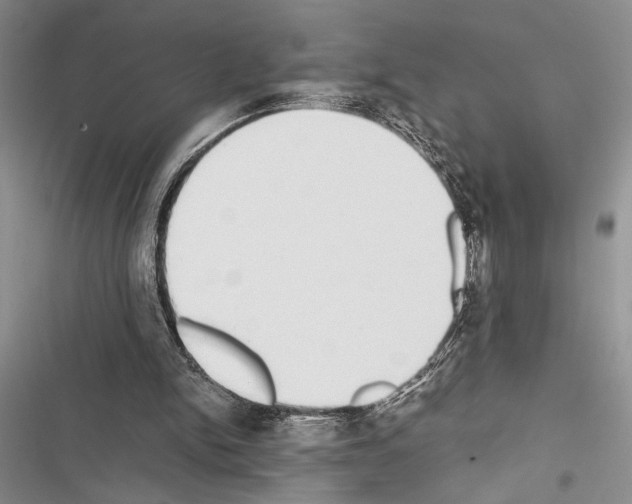 X0000116600150201001221305