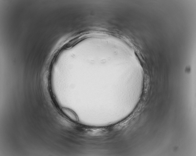 X0000116600151201001221305