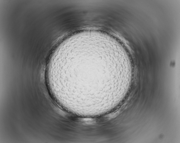 X0000116600153201001221305