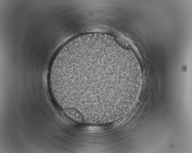 X0000116600154201001221305