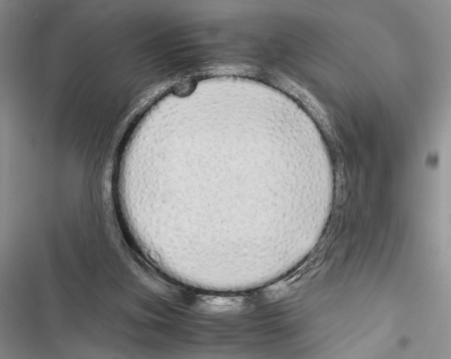 X0000116600155201001221305