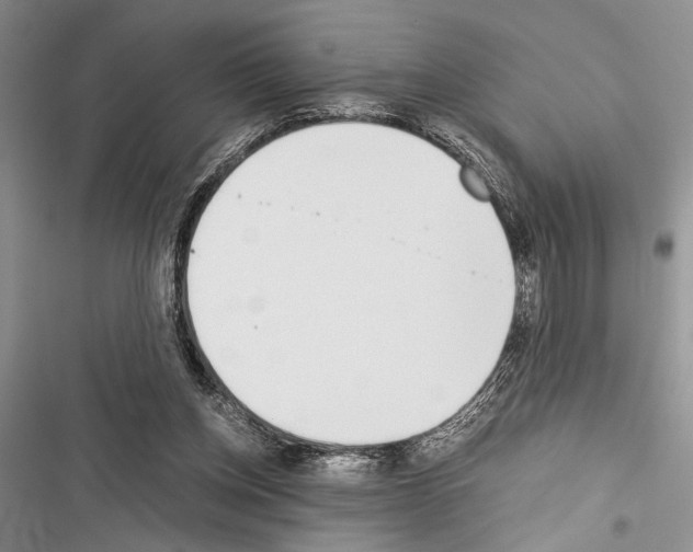 X0000116600158201001221305