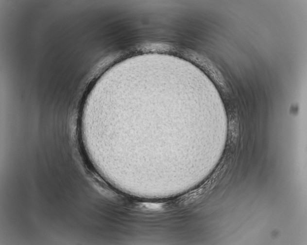 X0000116600159201001221305