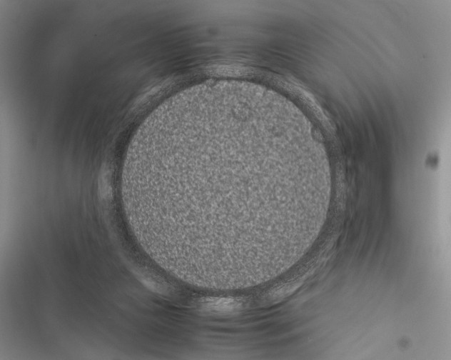 X0000116600161201001221305