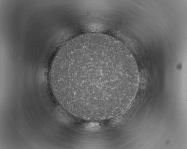 X0000116600162201001221305