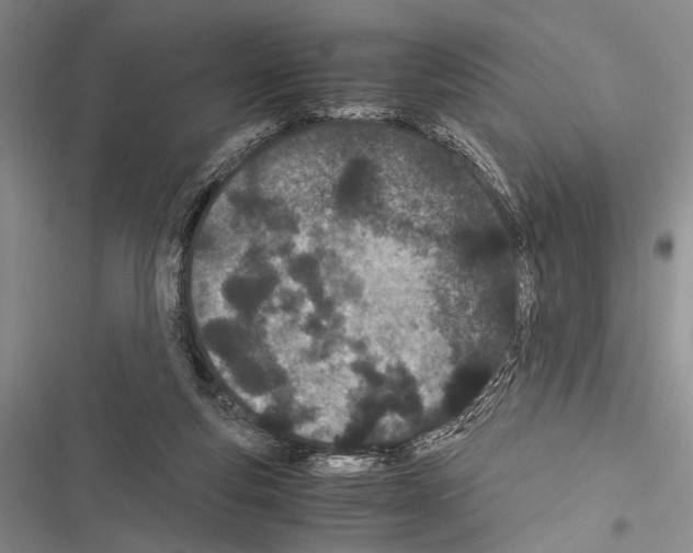 X0000116600163201001221305