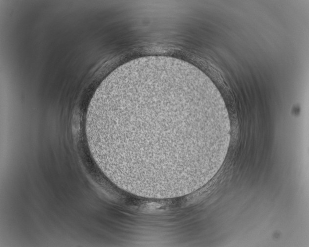 X0000116600166201001221305