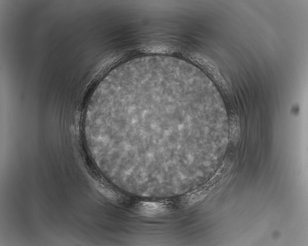 X0000116600167201001221305
