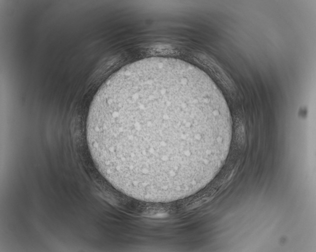 X0000116600169201001221305