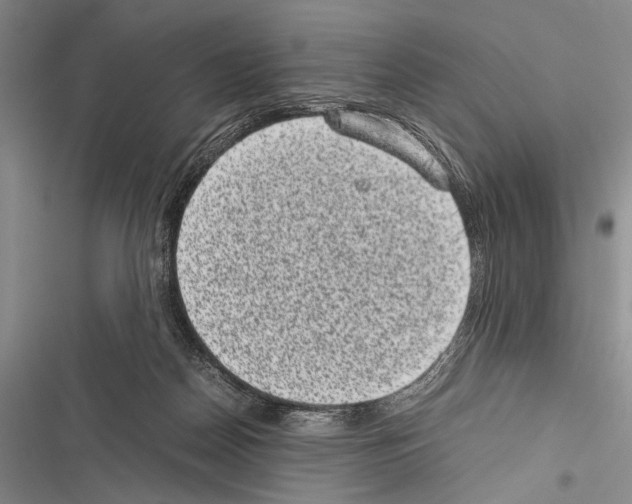 X0000116600170201001221305