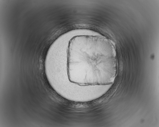 X0000116600173201001221305