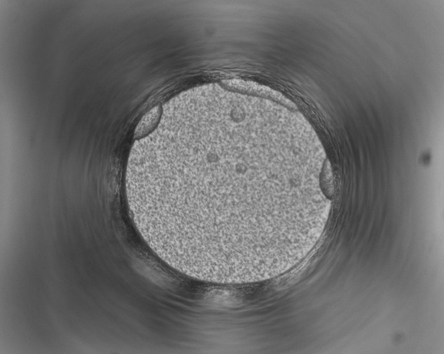 X0000116600174201001221305