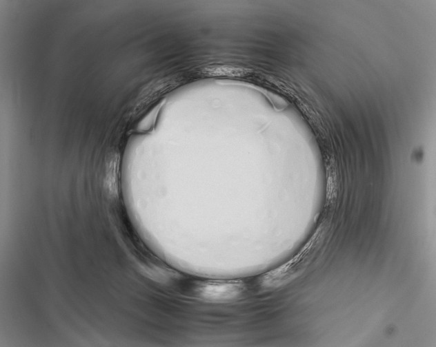 X0000116600175201001221305