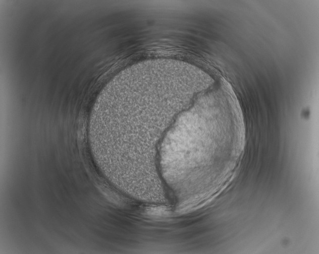 X0000116600177201001221305
