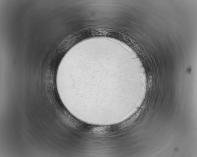 X0000116600178201001221305