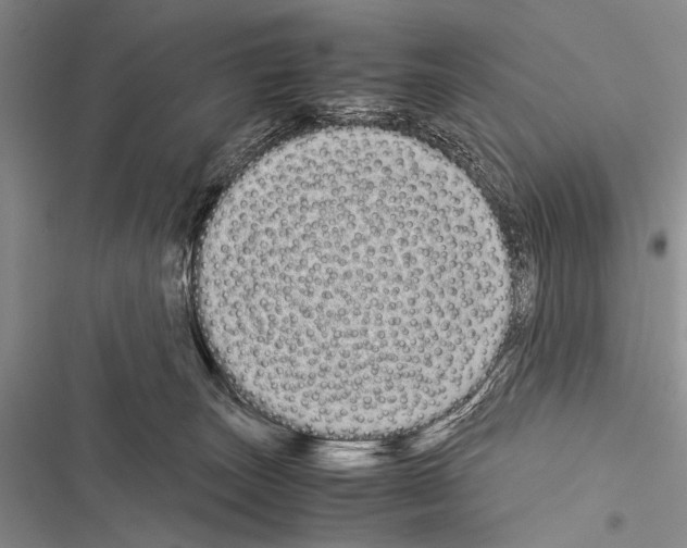 X0000116600179201001221305