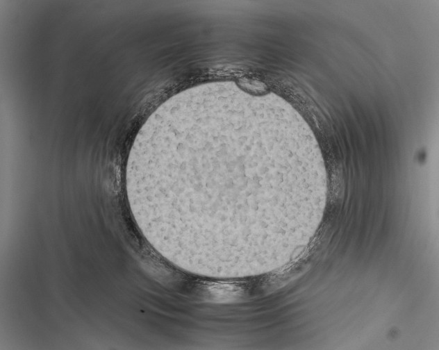 X0000116600183201001221305