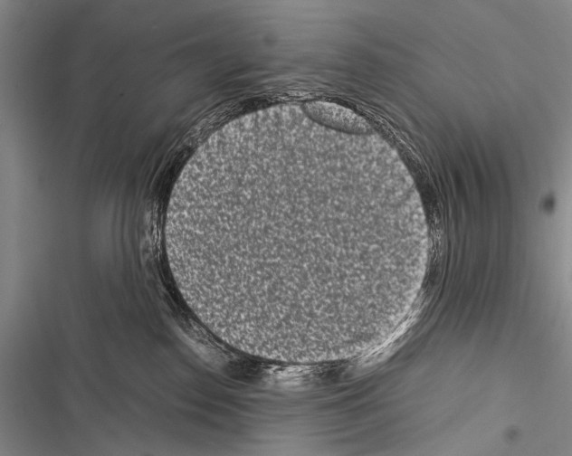 X0000116600186201001221305