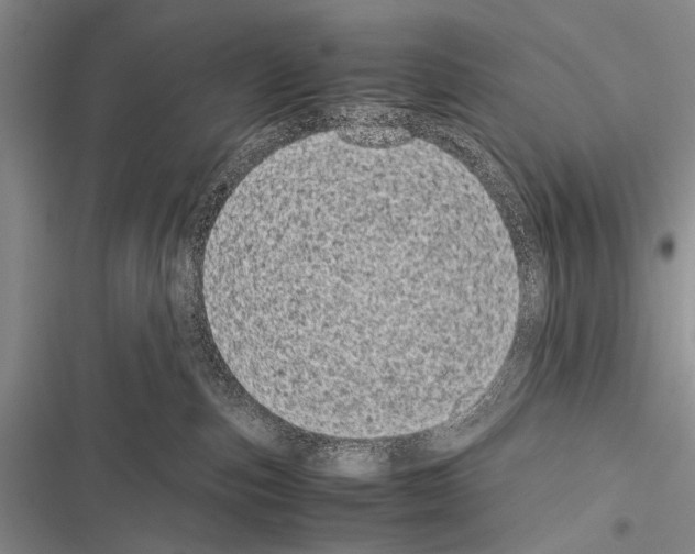 X0000116600187201001221305
