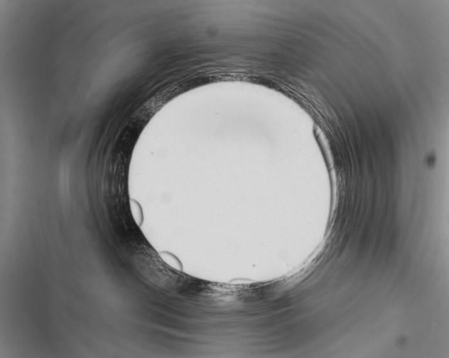 X0000116600190201001221305