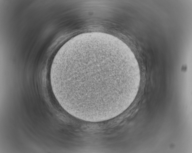 X0000116600194201001221305