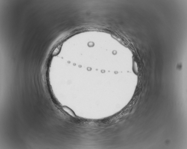 X0000116600197201001221305