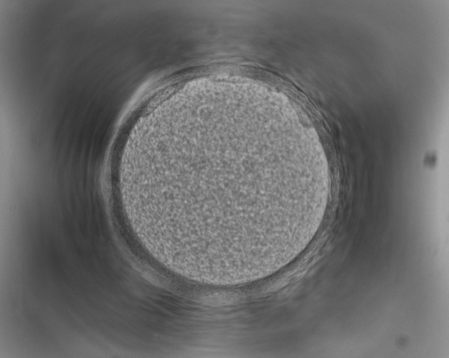 X0000116600198201001221305