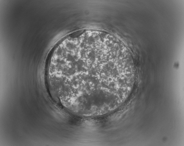 X0000116600199201001221305