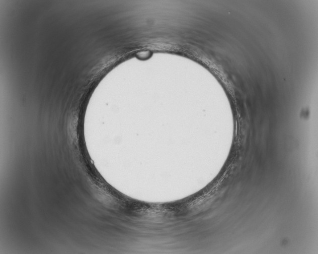 X0000116600201201001221305