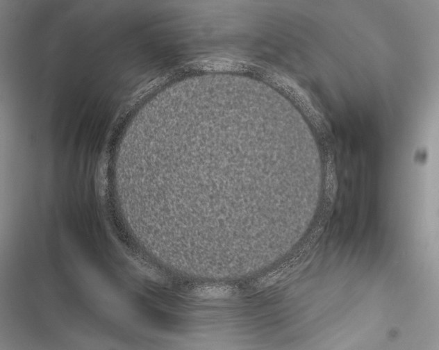 X0000116600202201001221305