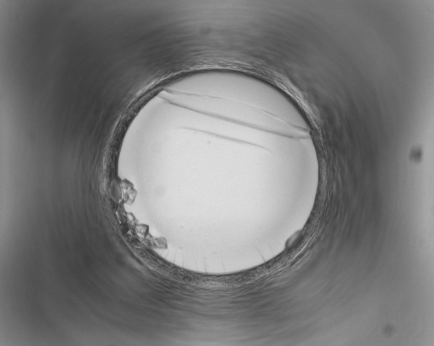 X0000116600203201001221305