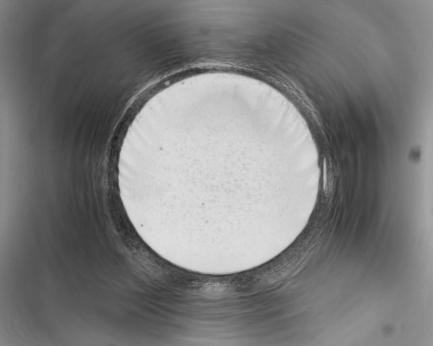 X0000116600204201001221305
