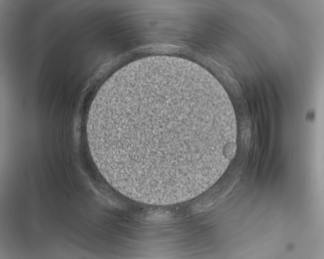 X0000116600206201001221305