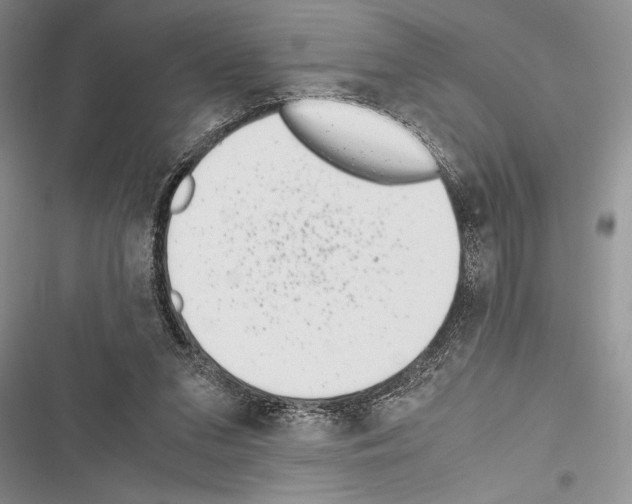 X0000116600207201001221305