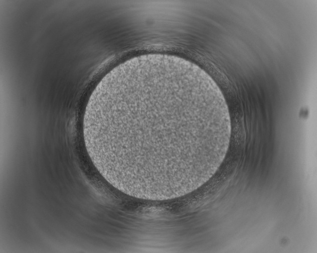 X0000116600208201001221304