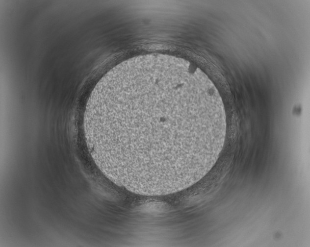 X0000116600210201001221304