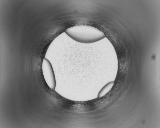 X0000116600211201001221304