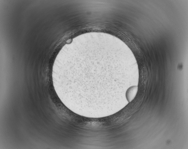 X0000116600212201001221304