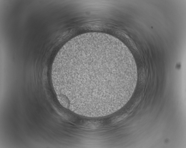 X0000116600213201001221304