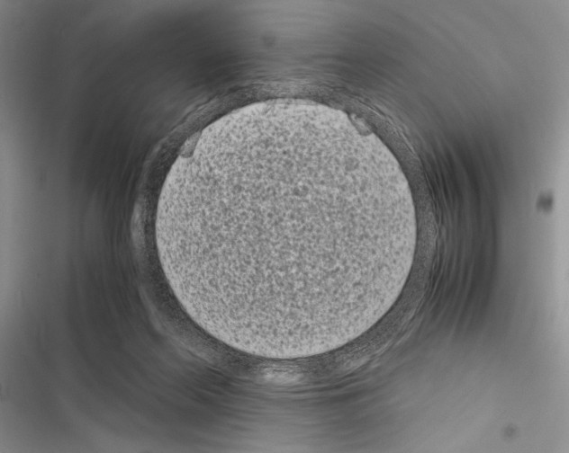 X0000116600214201001221304