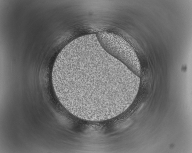 X0000116600215201001221304