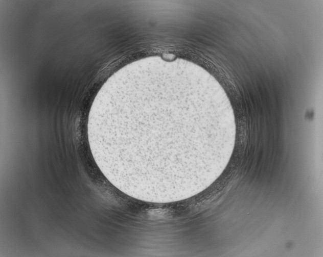 X0000116600216201001221304