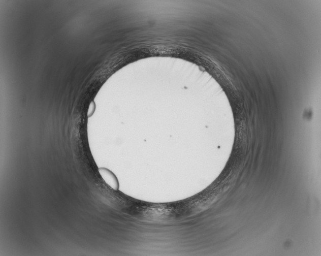 X0000116600217201001221304
