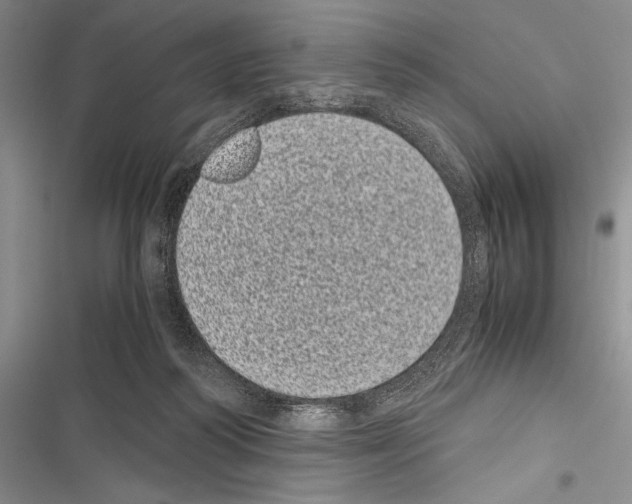 X0000116600218201001221304