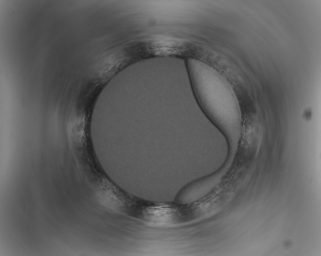 X0000116600219201001221304