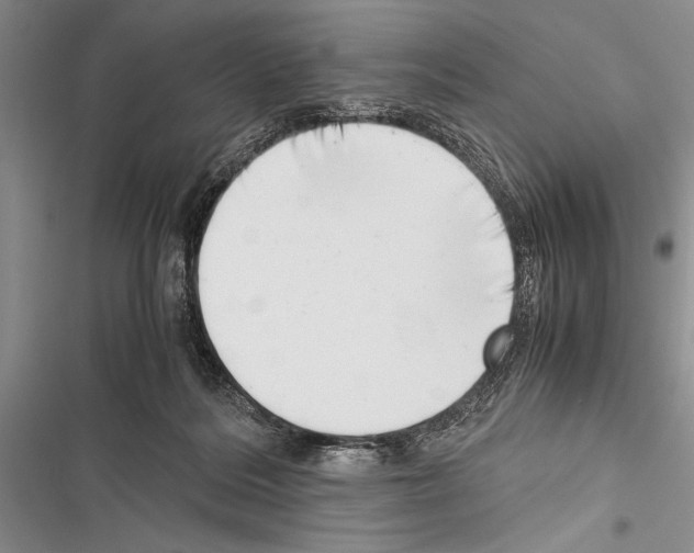 X0000116600220201001221304
