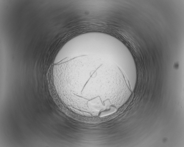 X0000116600221201001221304