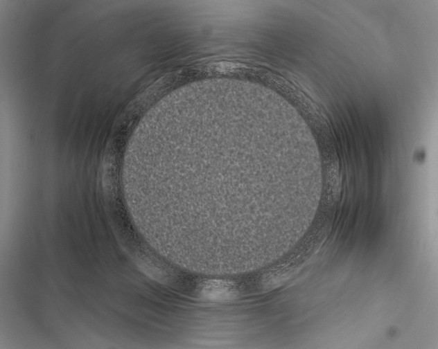 X0000116600222201001221304