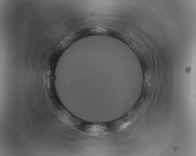 X0000116600223201001221304